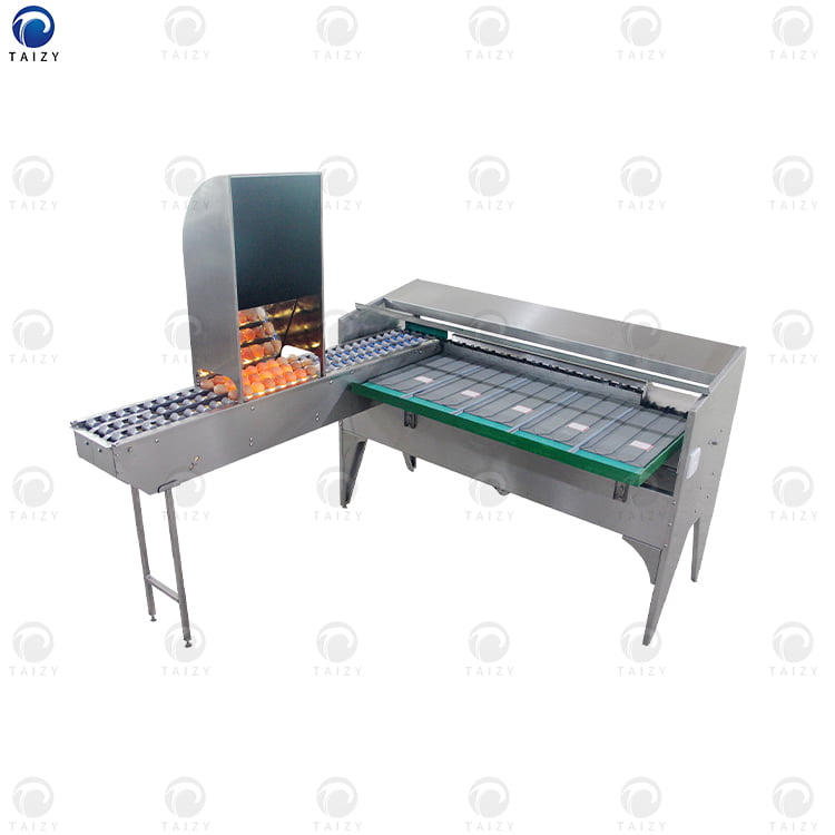 Electronic 5400pcs/h egg grading machine for sorting egg