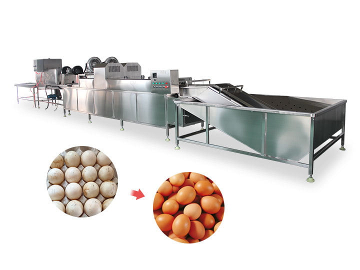 Egg processing line for washing and grading