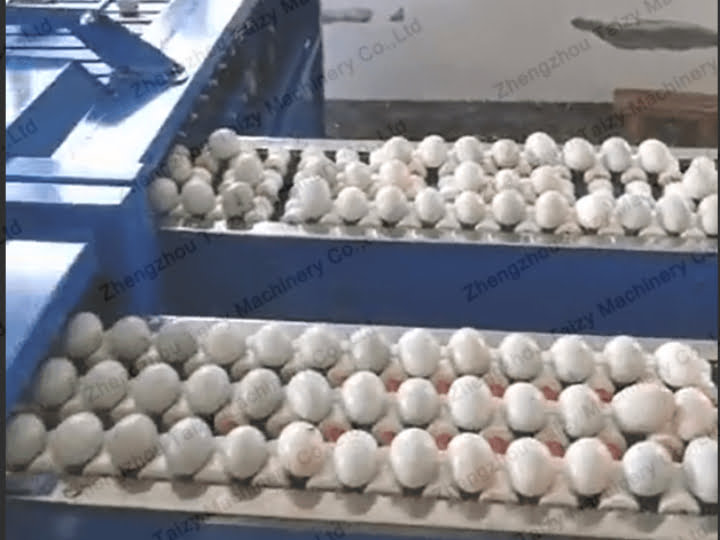 Clean eggs